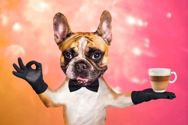 funny dog ginger french bulldog waiter in a black bow tie hold a glass coffee mug and show a sign approx. Animal on a pink orange bright background - Photo, Image