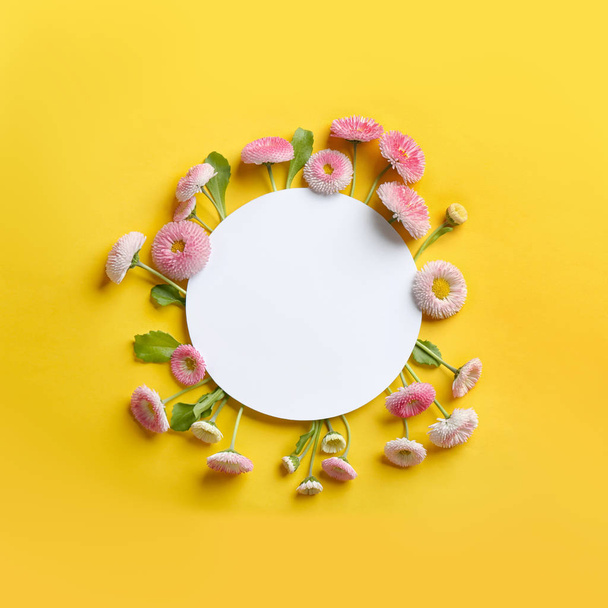 Composizione di posa piatta con fiori di margherita primaverili e carta su sfondo a colori. Spazio per testo
 - Foto, immagini