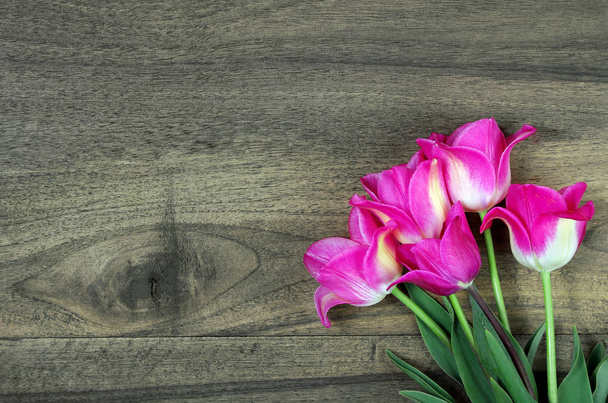tulipas em uma mesa de madeira. vista superior. espaços de cópia
 - Foto, Imagem