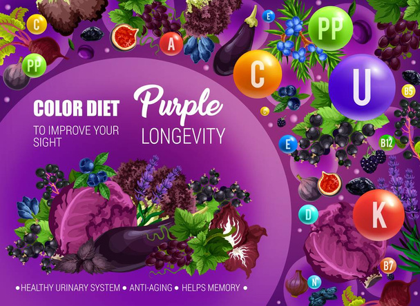 Μοβ χρώμα διατροφή διατροφής, μακροζωία στην υγεία - Διάνυσμα, εικόνα