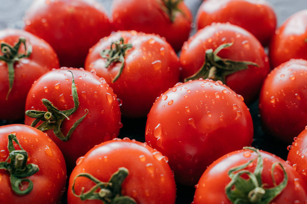 Έννοια της συγκομιδής και της γεωργίας. Ζουμερά φρέσκα κόκκινα ντομάτες με σταγόνες νερού και πράσινα φύλλα. Φαγητό και λαχανικά. Επιλεκτική εστίαση. - Φωτογραφία, εικόνα