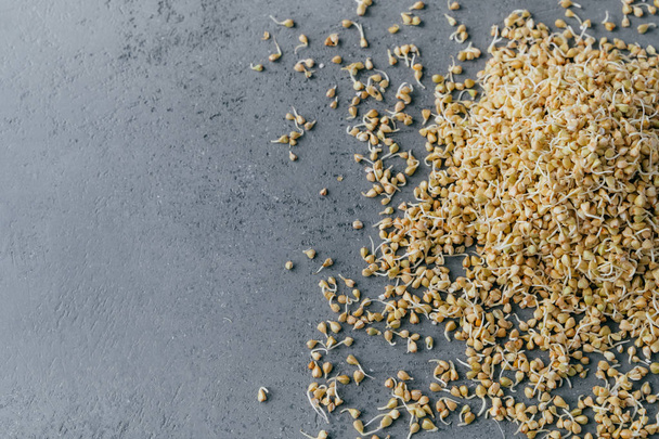 Sovraccarico di grano saraceno germinato isolato su fondo grigio con spazio per la copia. Una sana dieta cruda. Cibo biologico. Germogli o grani
 - Foto, immagini
