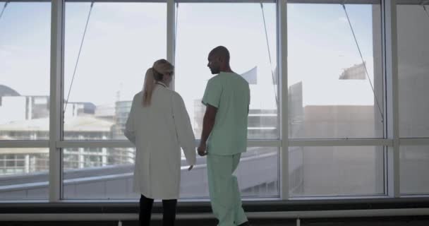 Doctor and surgeon meeting in hospital - Кадри, відео