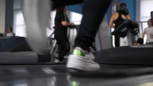 strengthening leg muscles run. legs of girl in sneakers on treadmill close-up. walking in gym. cardio load. girl trains on a treadmill. fitness club woman. weight loss in gym. - Filmagem, Vídeo
