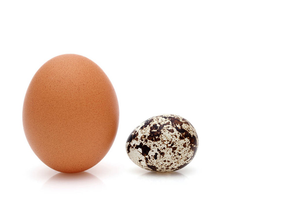 коричневое куриное яйцо и мелкое перепелиное яйцо на белом фоне
   - Фото, изображение