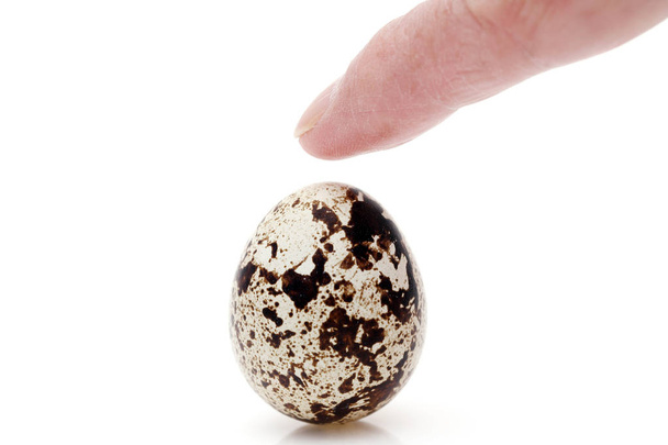 Яйцо перепела изолировано на белом фоне
 - Фото, изображение