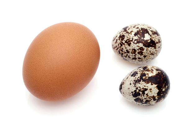 uovo di pollo marrone e piccolo uovo di quaglia su sfondo bianco
  - Foto, immagini