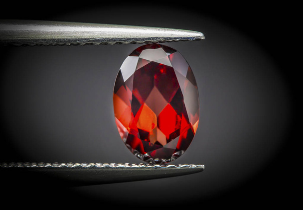 Piedra de granate rojo natural gemas oval cut.Holding piedra por pinzas
. - Foto, imagen