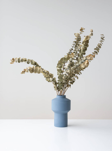 Сухие эвкалиптовые ветви в голубой керамической вазе
 - Фото, изображение