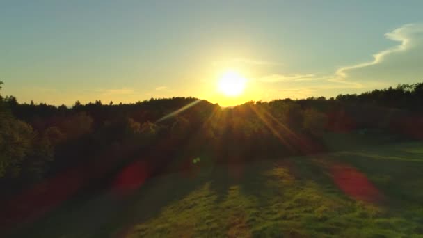 AERIAL: Flying above forest glade and tree canopies into the golden sunset. Green grass field surrounded by lush trees at spectacular sunrise. Morning sun shining over wakening nature in warm summer - Footage, Video