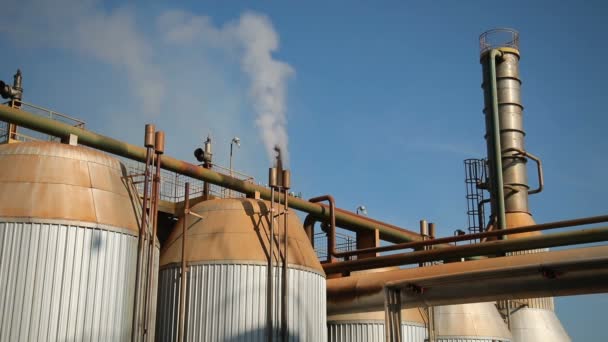 suiker fabriek industrie lijn suikerriet productieproces - Video