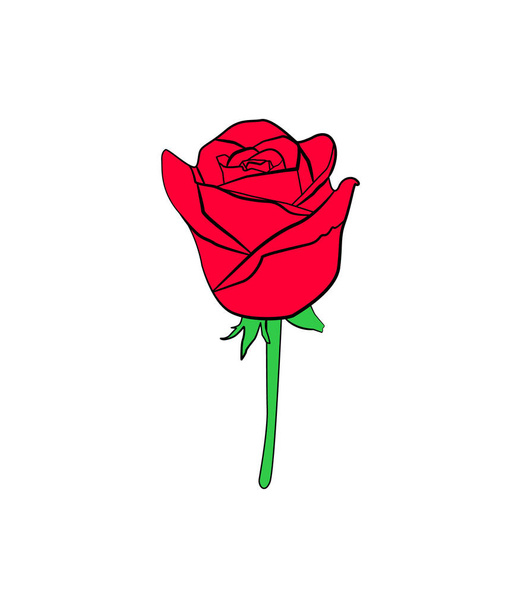 pink rose with green leaves - Vector, afbeelding