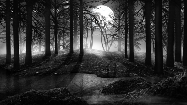 mist in het oude forest - Foto, afbeelding