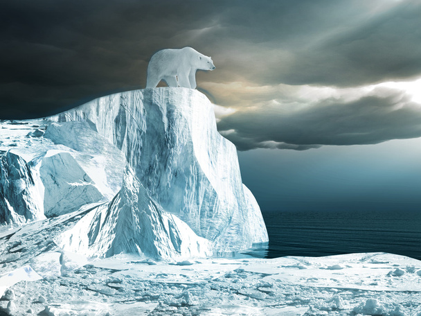 Jääkarhu jäävuoren huipulla
 - Valokuva, kuva