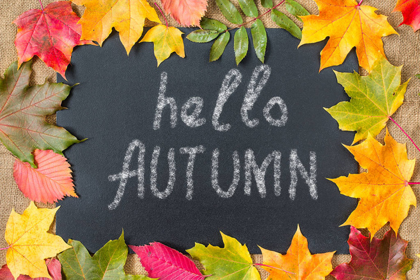 Autumn background with Hello Autumn letters, autumn leaves. - Photo, image