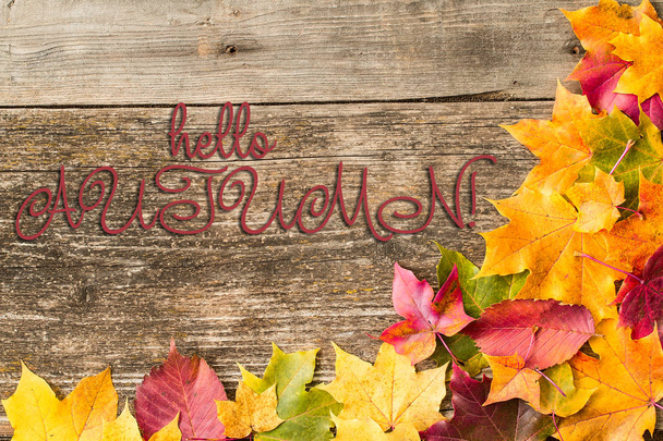 Φθινοπωρινό φόντο με Hello φθινόπωρο γράμματα σε ξύλινο φόντο - Φωτογραφία, εικόνα