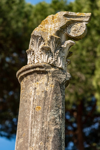 コリント様式の資本を持つ柱 - オスティア・アンティカ・ローマ - 写真・画像
