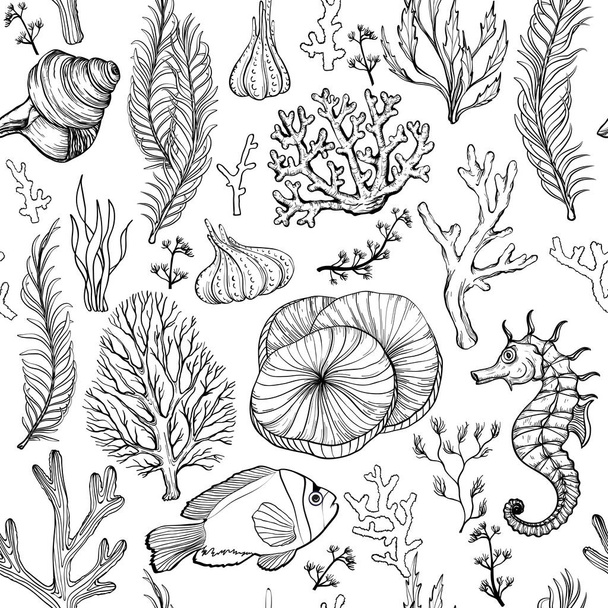 Seamless pattern with marine hand drawn corals. lack and white. - Вектор,изображение