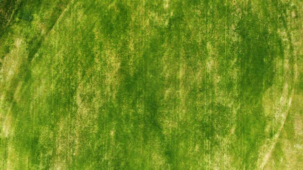 Luchtfoto. Groen gras textuur achtergrond. - Foto, afbeelding