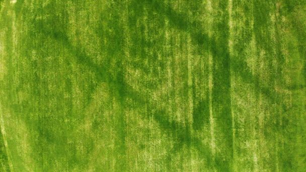 Antény. Zelená tráva textury pozadí. - Fotografie, Obrázek