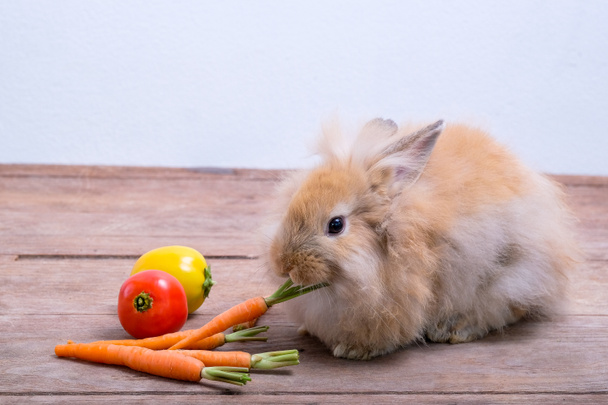 Rabbits on wooden floors, carrots, cucumbers, tomatoes and barre - Фото, зображення