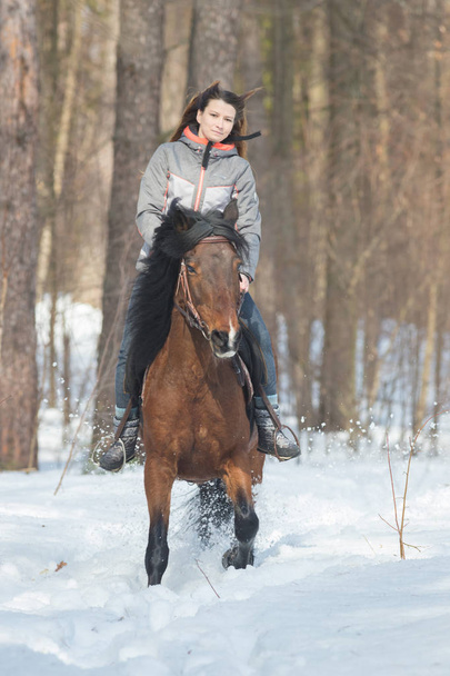 森の中で茶色の馬に乗って暖かいジャケットを着た女性 - 写真・画像
