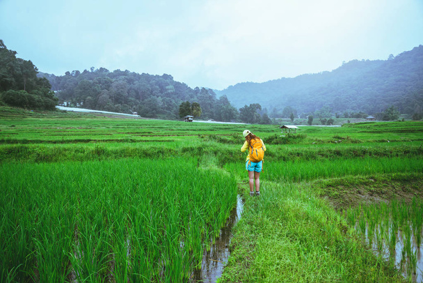 Mulher asiática viajar natureza Viagem relaxar Caminhada tirar uma foto no campo de arroz na estação chuvosa
. - Foto, Imagem
