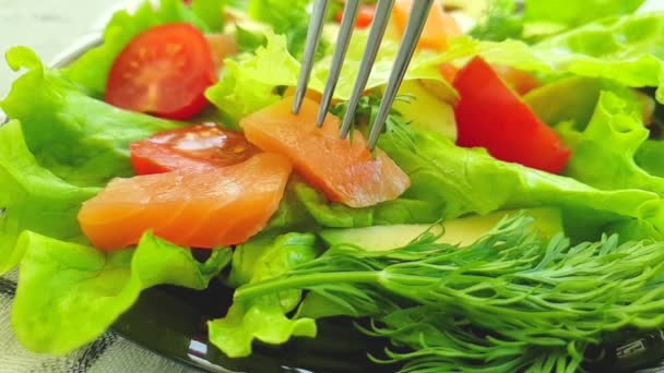 Salmon Salad, Avocado Slow Motion - Footage, Video