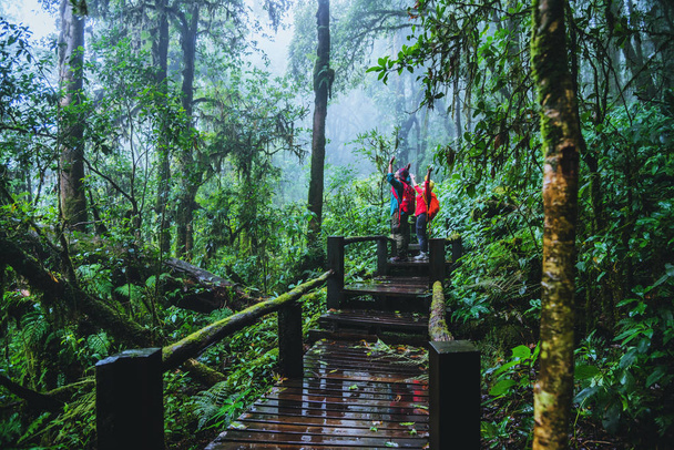 Lover Asian man and Asian women travel nature. Nature Study in the rain forest at Chiangmai in Thailand. - Photo, Image
