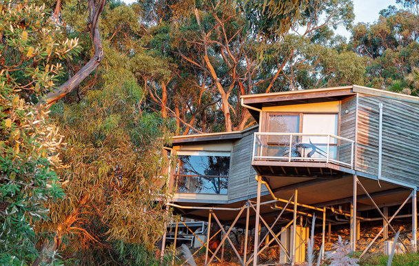 Camere dell'hotel tra le cime degli alberi in Australia
 - Foto, immagini