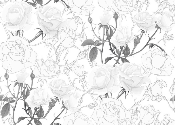 Roses seamless pattern - Vettoriali, immagini