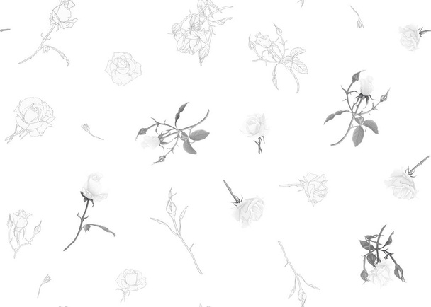 Roses seamless pattern - Vecteur, image