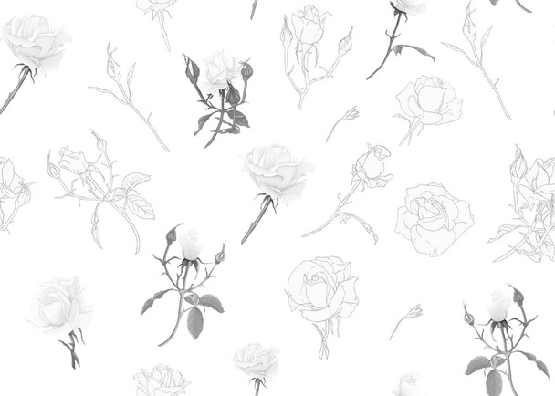 Roses seamless pattern - Vektori, kuva