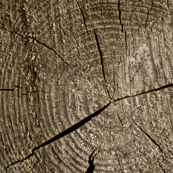 Closeup old wooden cut texture - Фото, изображение