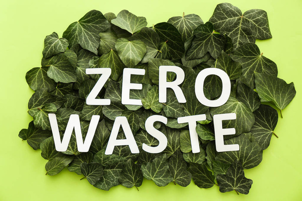 Green leaves and text ZERO WASTE on color background - Photo, Image