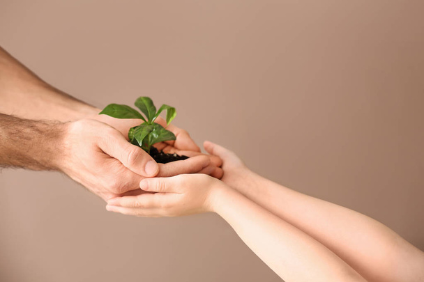Hands of man and child with young plant on color background - Φωτογραφία, εικόνα