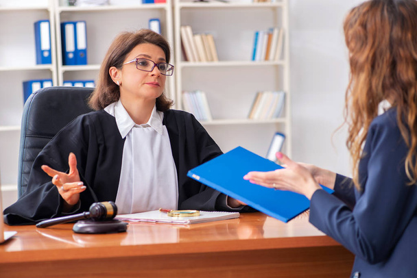 Young woman visiting female lawyer  - Foto, imagen
