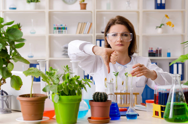 Old female biotechnology chemist working in the lab  - Foto, afbeelding