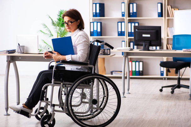 Female employee in wheel-chair at the office   - Fotoğraf, Görsel