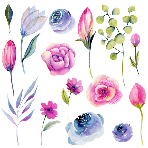 Kolekce izolovaných akvarel růžových květů a jiných rostlin, ručně malované ilustrace na bílém pozadí - Fotografie, Obrázek