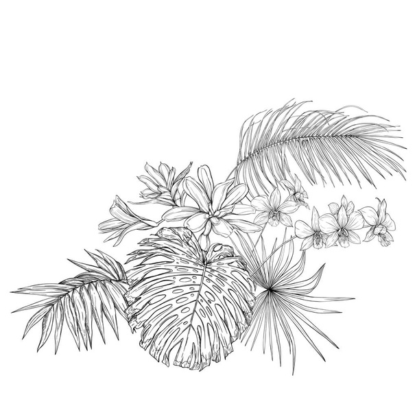 A composition of tropical plants, palm leaves - Vektor, obrázek