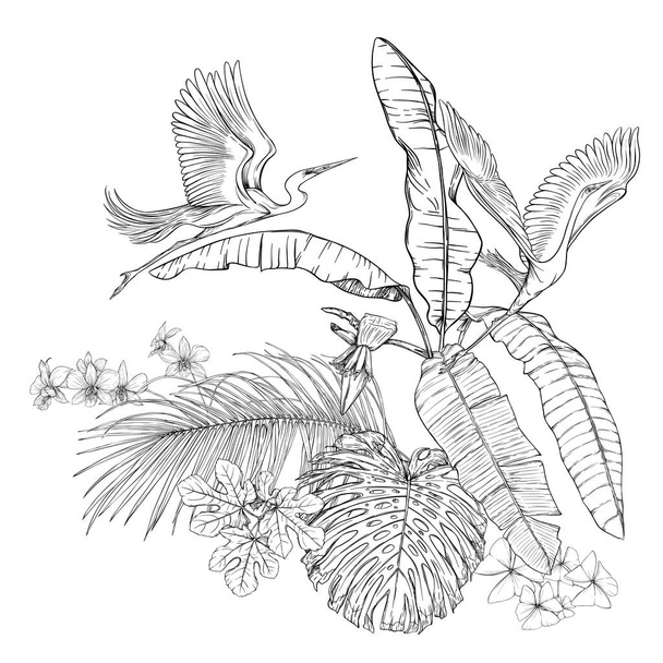 A composition of tropical plants, palm leaves - Вектор,изображение