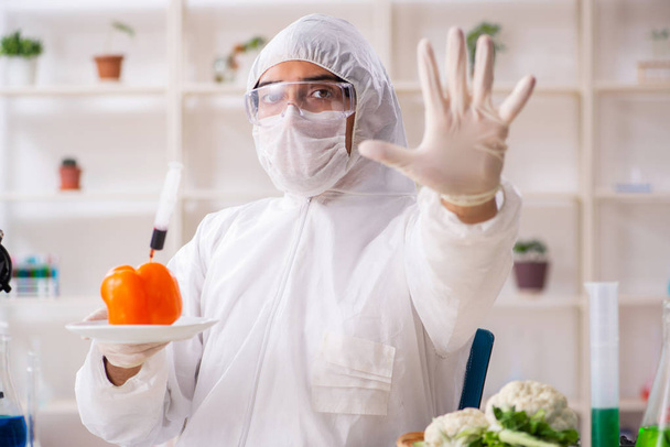 Scientist working in lab on GMO fruits and vegetables - Foto, imagen