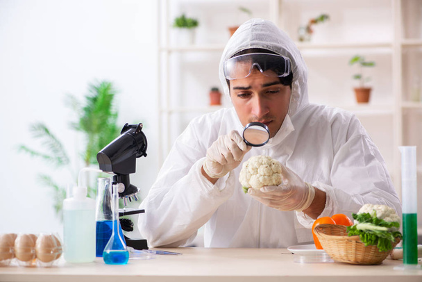 Ученый, работающий в лаборатории по ГМО фрукты и овощи - Фото, изображение