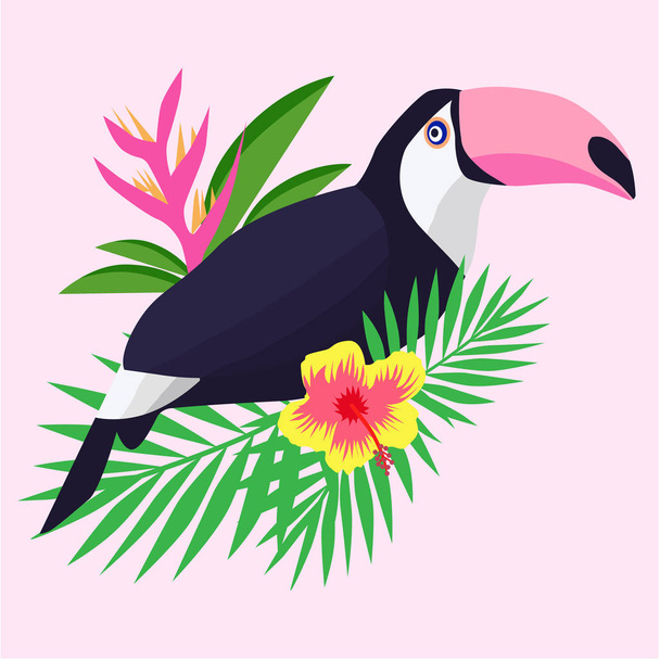 Beautiful toucan cartoon vector illustration - Διάνυσμα, εικόνα