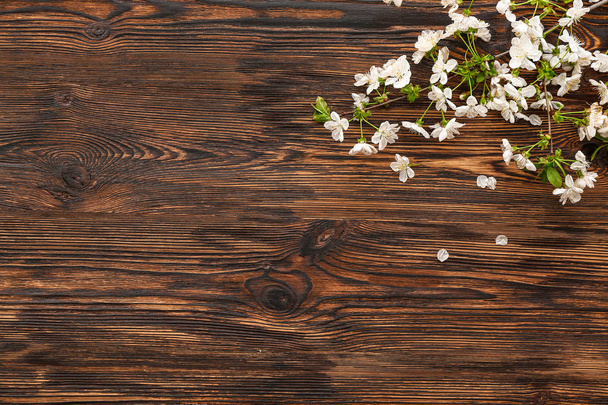 Beautiful blooming branches on wooden background - Photo, Image