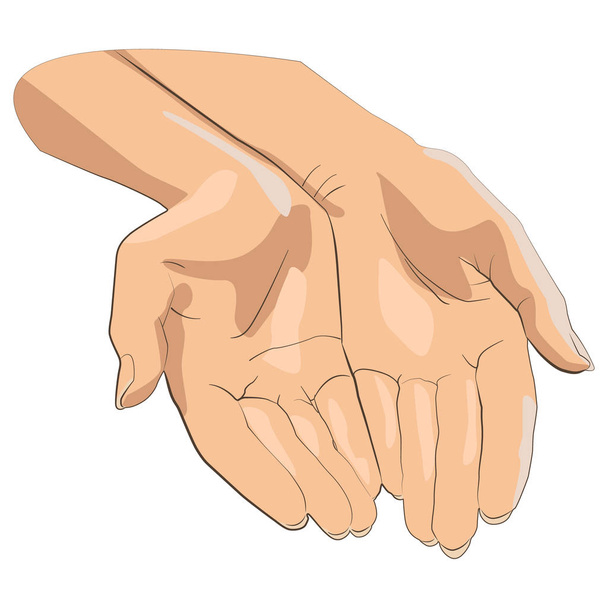 Character pair of hands with exposed palm, request or donation. - Vector, Image