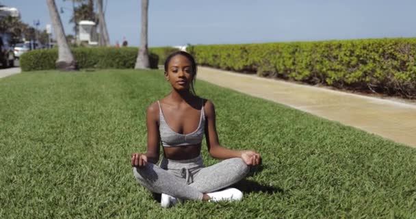 芝生でヨガをしている黒人女性 - 映像、動画