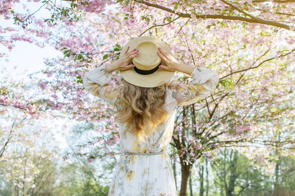 Lovely Beautiful Caucasian Woman in Dress Standing Posing on the Background of Blooming Japan Cherry Blossoms Pastel Pink Sakura Garden Park Fashion Look Springtime Sunny Day Walking - Photo, Image