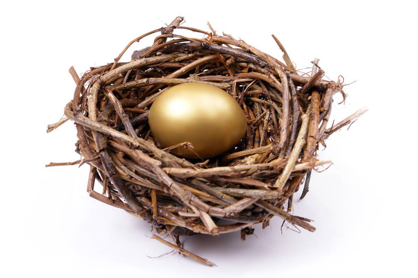 Huevo dorado en el nido
 - Foto, imagen